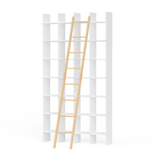 FNP Library Ladder