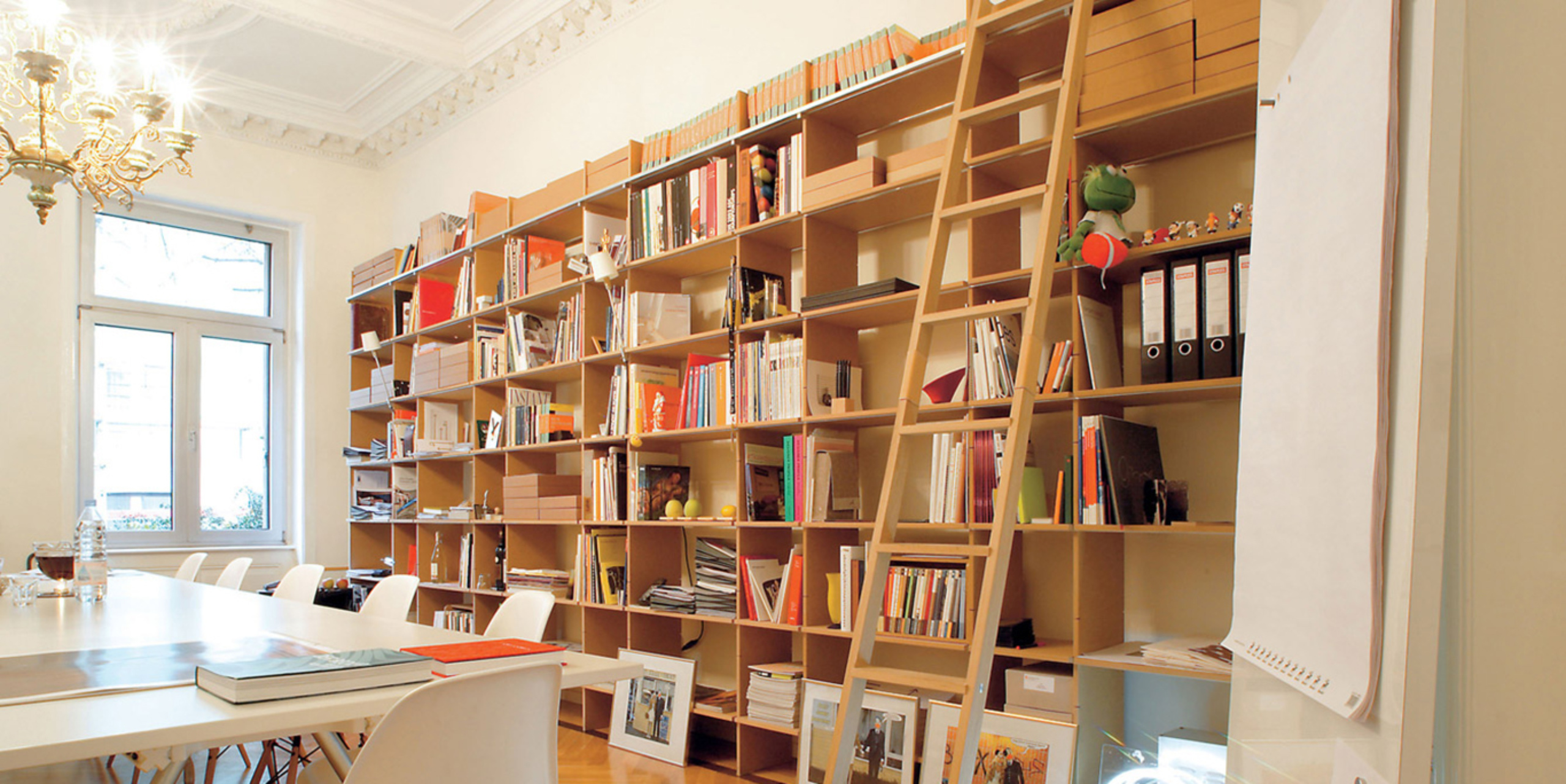 FNP Library Ladder